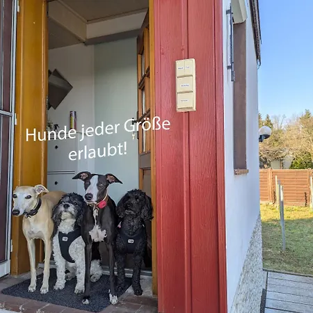 Idyllisches Mit Pool, Blick Und Grossem Grundstueck Nyaraló Radebeul